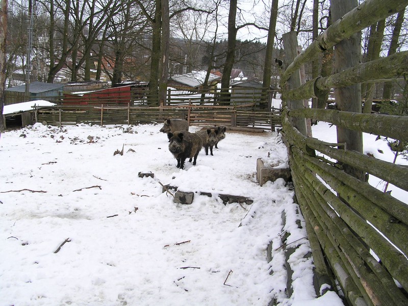 obora (1).JPG